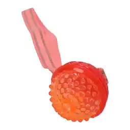 Van Cranenbroek Hondenspeelgoed bal + touw toss small aanbieding
