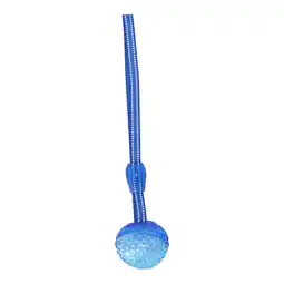Van Cranenbroek Hondenspeelgoed bal + touw toss large aanbieding