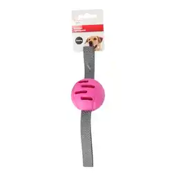 Van Cranenbroek Hondenspeelgoed Xila foam bal fuchsia 29 x 6,5 x 6,5 cm aanbieding