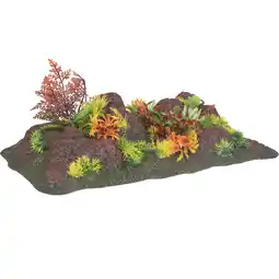 Van Cranenbroek Deco aquarium Radha rots met plant aanbieding