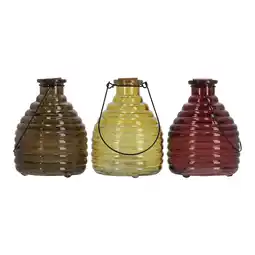 Van Cranenbroek Wespenvanger van glas 17 x 13 cm 4 assorti aanbieding