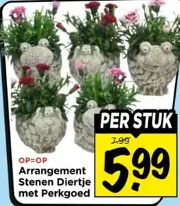 Vomar Voordeelmarkt Arrangement Stenen Diertje met Perkgoed aanbieding