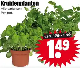 Dirk Kruidenplanten aanbieding