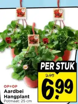 Vomar Voordeelmarkt Aardbei Hangplant aanbieding