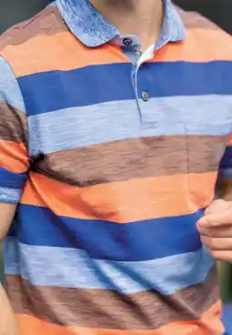 Van Dal Mannenmode Bartlett Active Polo aanbieding