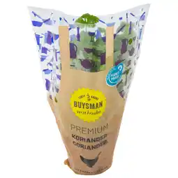 Dirk Koriander grote pot aanbieding