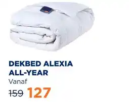 TotaalBED Dekbed Alexia 90% dons | enkel aanbieding