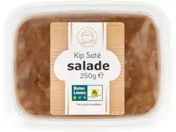 Hoogvliet Kip sate salade aanbieding