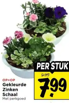 Vomar Voordeelmarkt Gekleurde Zinken Schaal aanbieding