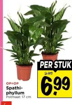 Vomar Voordeelmarkt Spathi-phyllum aanbieding