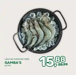 Amazing Oriëntal GAMBA'S aanbieding