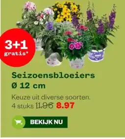 Welkoop Seizoensbloeiers Ø 12 cm aanbieding