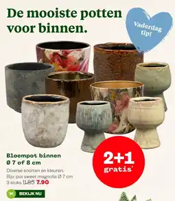 Welkoop Bloempot binnen Ø 7 of 8 cm aanbieding