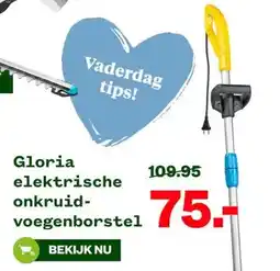 Welkoop Gloria elektrische onkruid- voegenborstel aanbieding