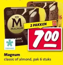 Nettorama Magnum aanbieding