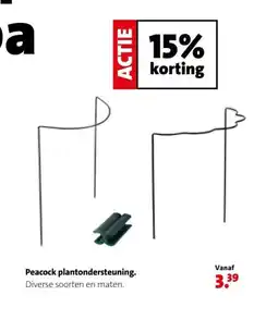 Intratuin Peacock plantondersteuning aanbieding