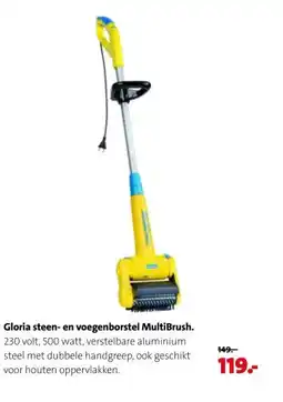 Intratuin Gloria steen- en voegenborstel MultiBrush aanbieding