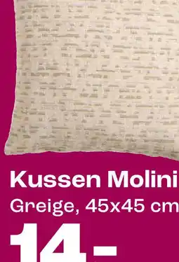 Kwantum Bekijk kussen Molini aanbieding