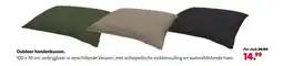 Intratuin Outdoor hondenkussen. aanbieding