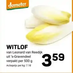 Ekoplaza WITLOF aanbieding
