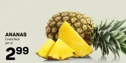 Ekoplaza ANANAS aanbieding