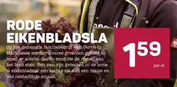 Ekoplaza RODEEIKENBLADSLA aanbieding