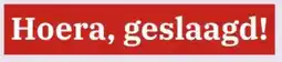Bruna Hoera, geslaagd! aanbieding