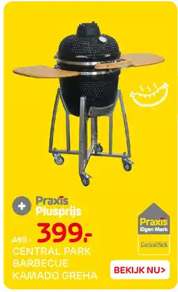 Praxis Central park barbecue kamado greha aanbieding