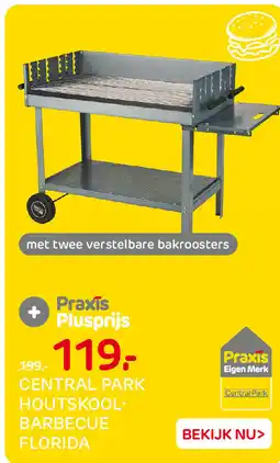 Praxis Central park houtskool barbecue florida aanbieding
