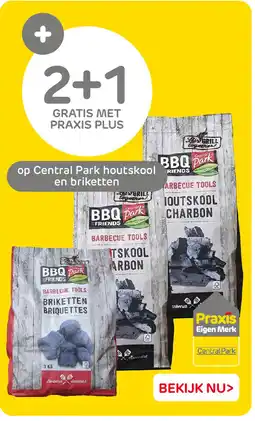 Praxis Central Park houtskool en briketten aanbieding