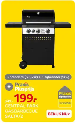 Praxis Central park gasbarbecue salta/2 aanbieding