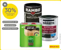 Praxis Buitenbeits en lak aanbieding