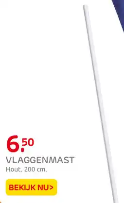Praxis Vlaggenmast aanbieding