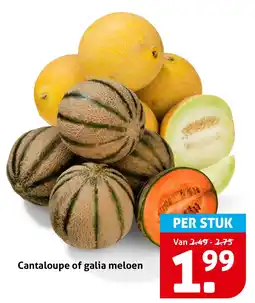 Hoogvliet Cantaloupe of galia meloen aanbieding