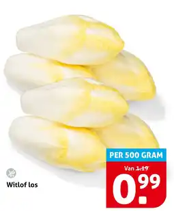 Hoogvliet Witlof los aanbieding