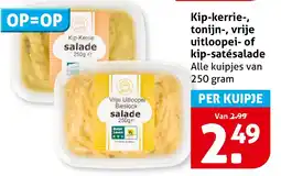 Hoogvliet Kip-kerrie , tonijn , vrije uitloopei of kip satésalade aanbieding
