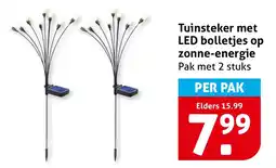 Hoogvliet Tuinsteker met led bolletjes op zonne energie aanbieding