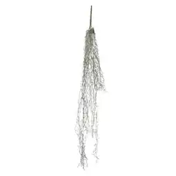 Van Cranenbroek Tillandsia hangend groen 115 cm aanbieding