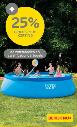 Praxis Op zwembaden en zwembadondertegels aanbieding