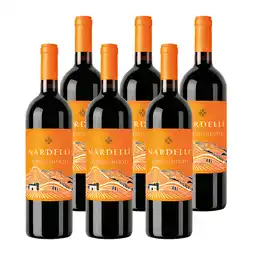 PLUS Nardelli Appassimento IGP Orange Bottle aanbieding