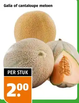 Poiesz Galia of cantaloupe meloen aanbieding
