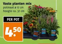 Poiesz Vaste planten mix aanbieding