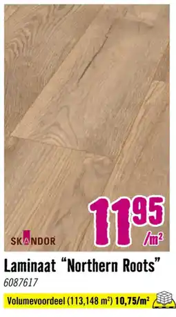 Hornbach SKANDOR Laminaat Northern Roots aanbieding