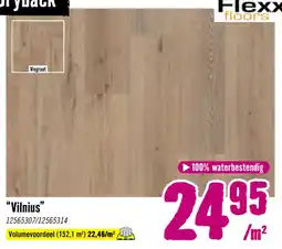Hornbach Vilnius aanbieding