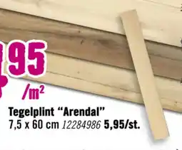 Hornbach Tegelplint Arendal aanbieding