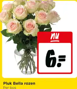 Jumbo Pluk bella rozen aanbieding