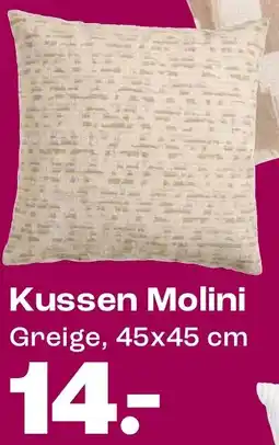Kwantum Kussen Molini aanbieding