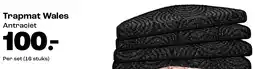 Kwantum Trapmat Wales aanbieding