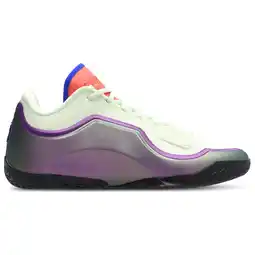 Foot Locker Nike LeBron Sneakers Heren - Multi - Maat 40.5 - Mesh/Synthetisch aanbieding