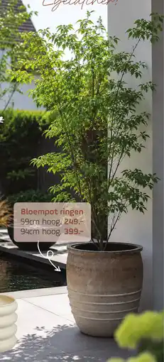 Coppelmans Bloempot ringen aanbieding